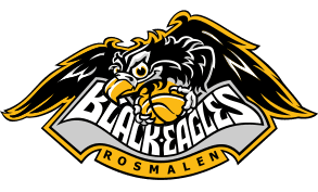 The Black Eagles MSE 6
