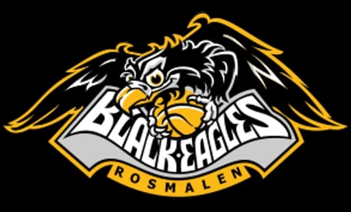 The Black Eagles M16 3 logo