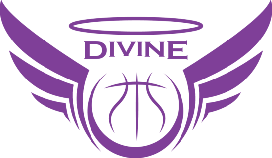 Divine VSE 1